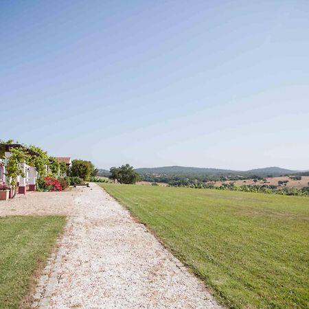 Stunning Mansion In Sao Cristovao Vila Montemor-o-Novo Exterior foto