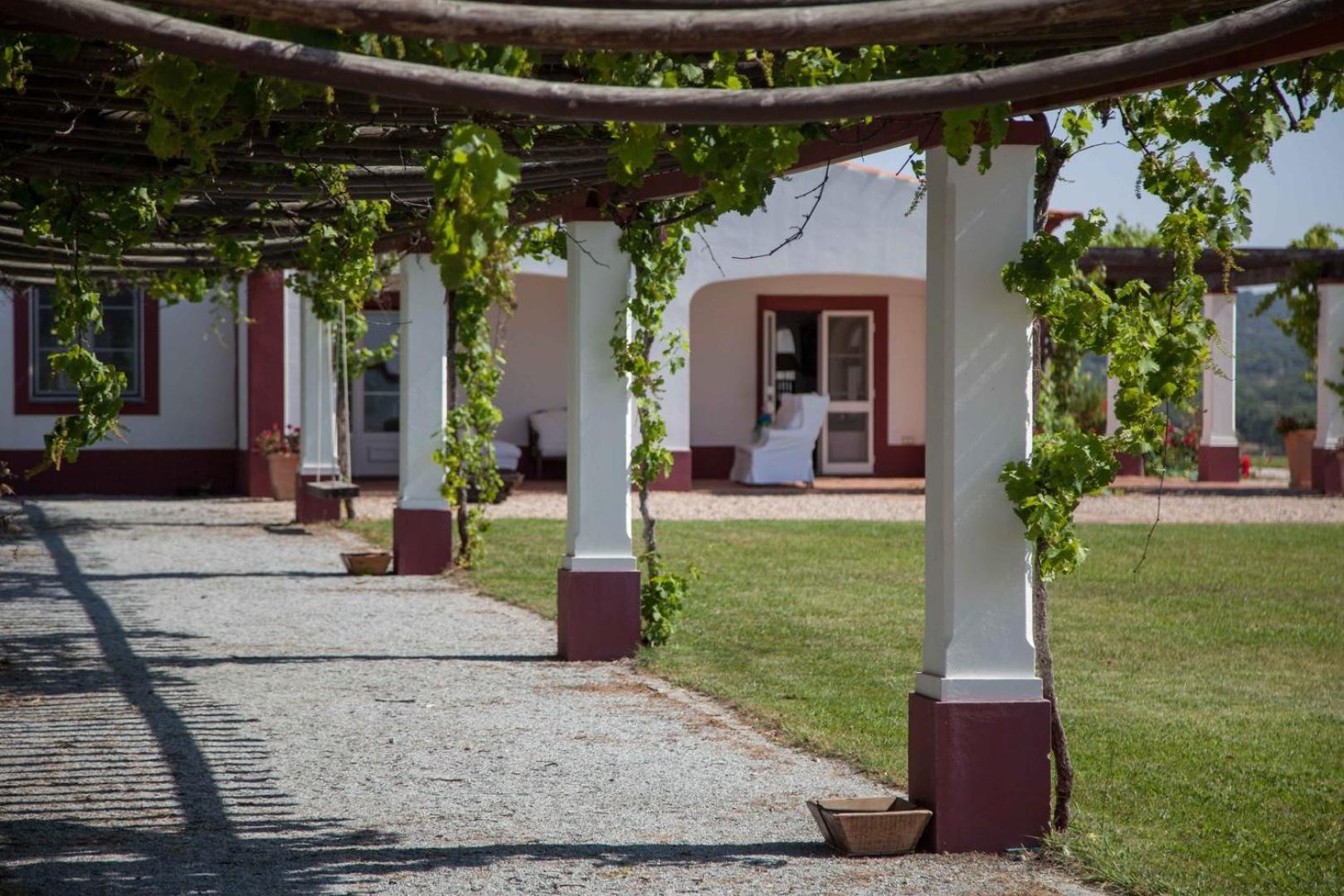 Stunning Mansion In Sao Cristovao Vila Montemor-o-Novo Exterior foto